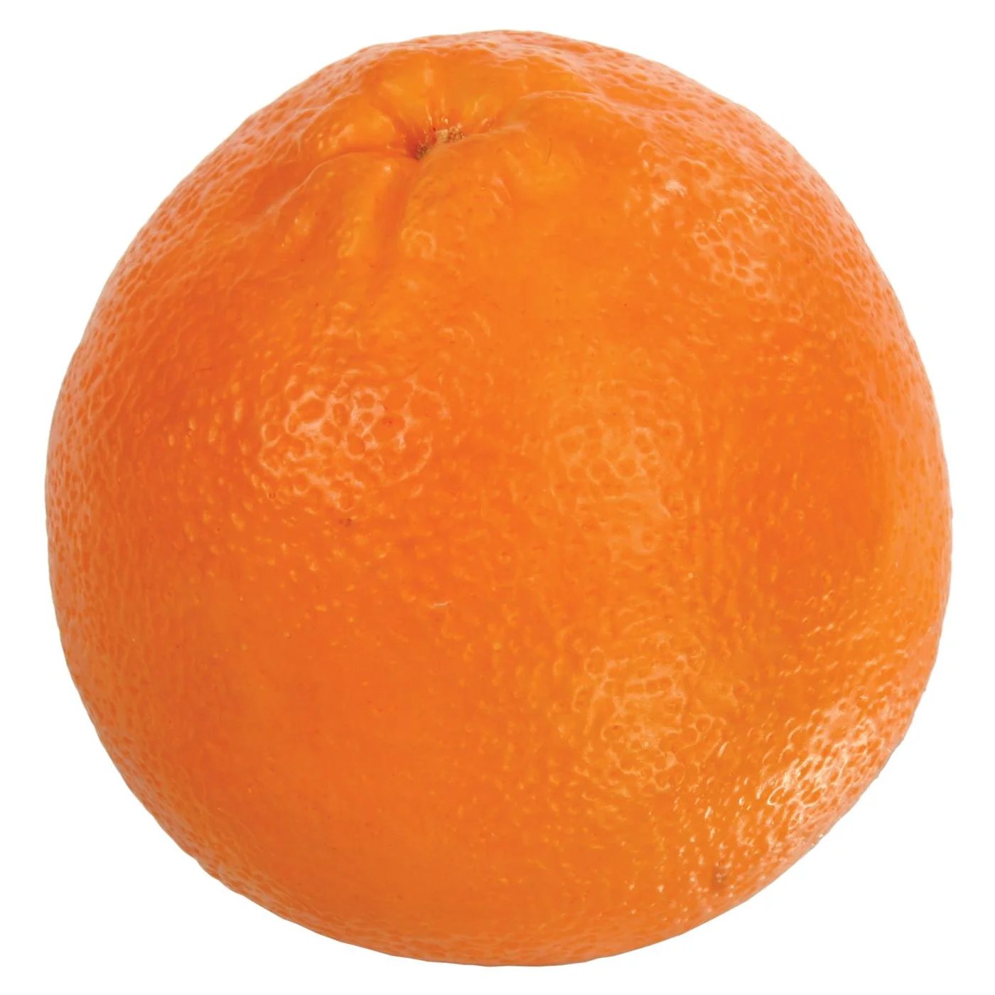 Winward 3.5" Large Orange