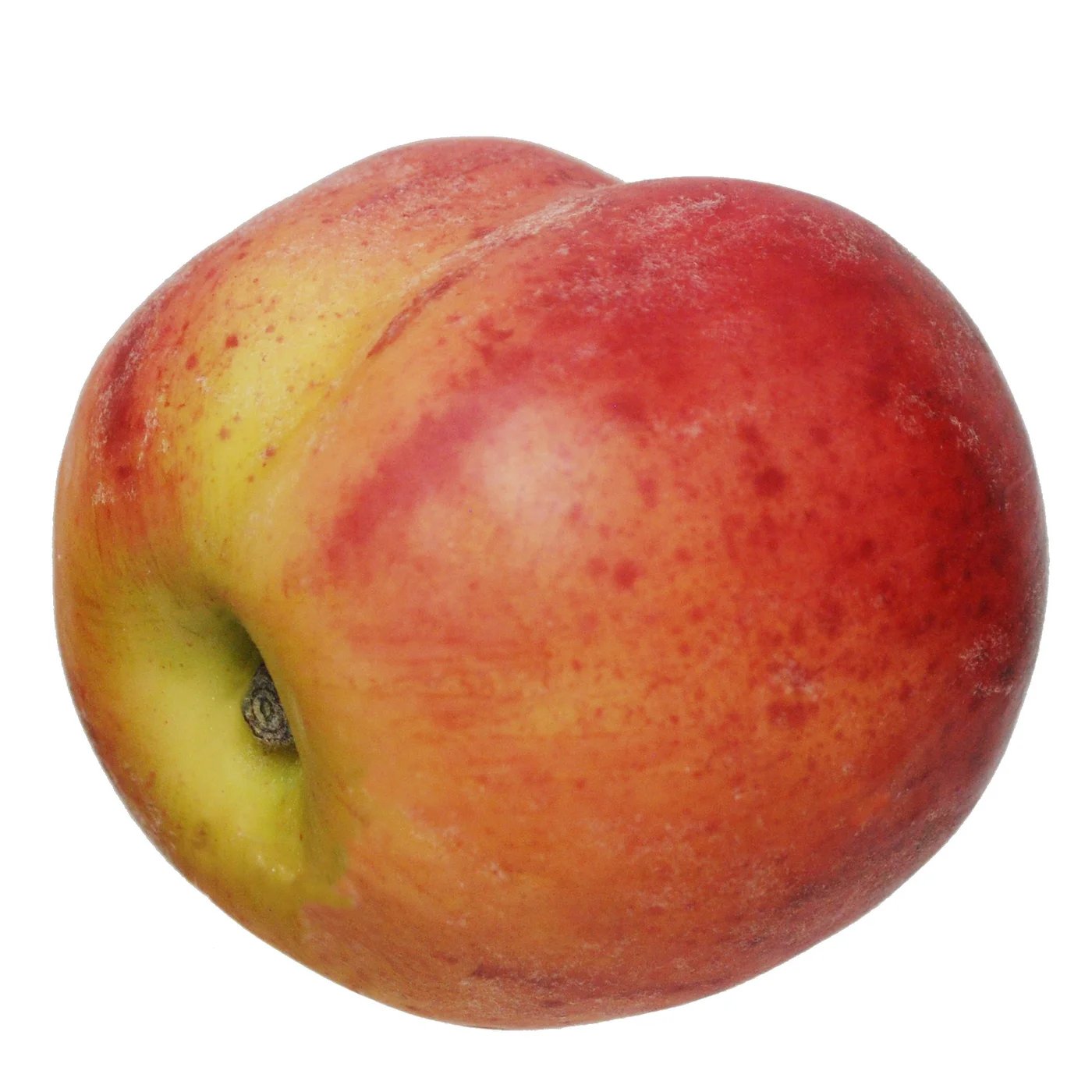 Winward Peach - Burgundy