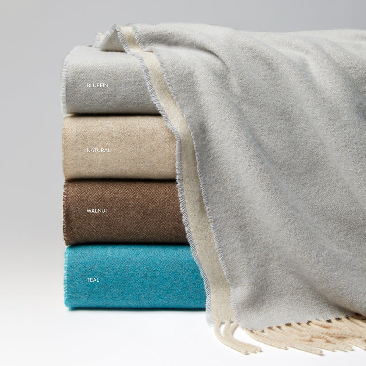 An image of Sferra Renna Cashmere Throw