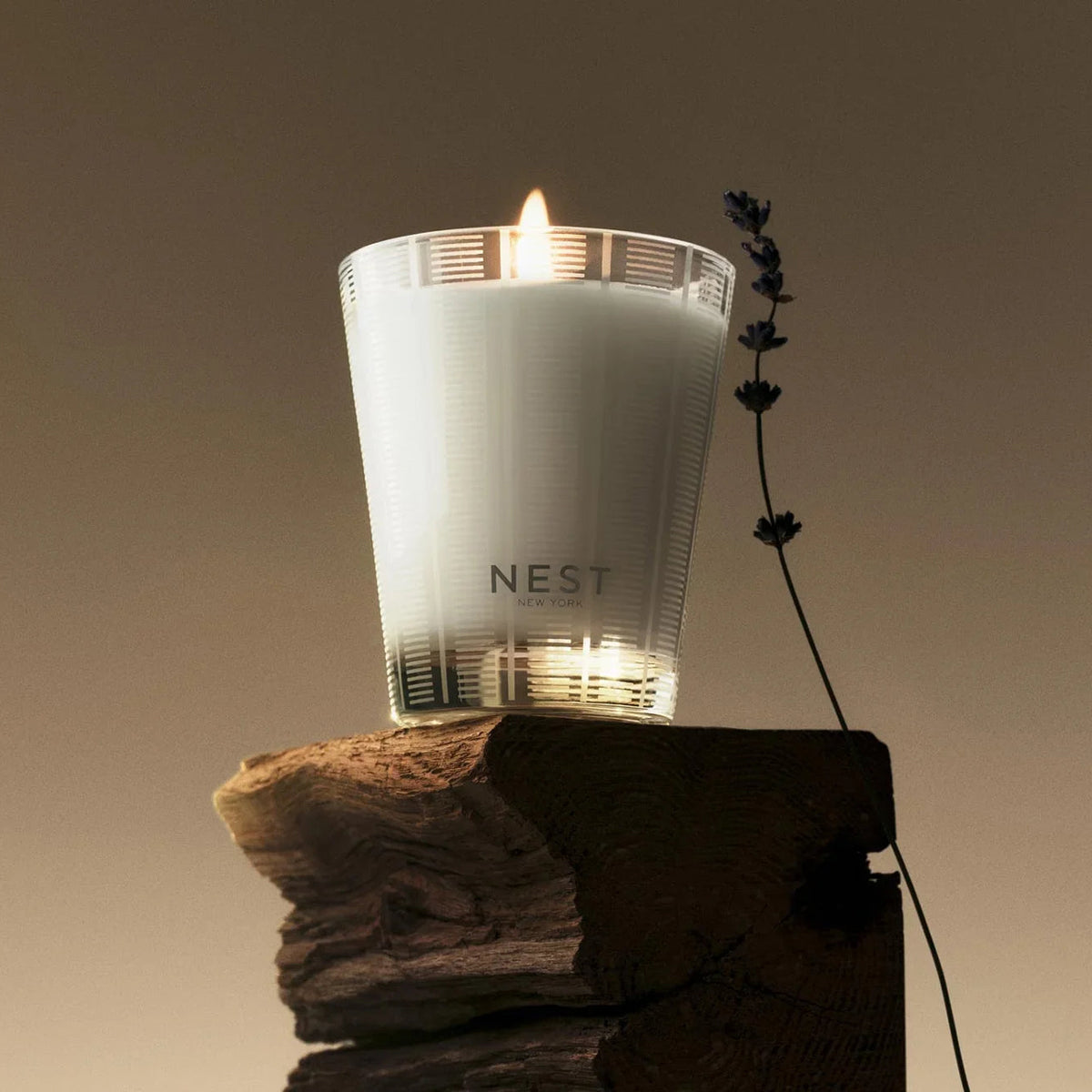 Nest Fragrances Cedar Leaf & Lavender Classic Candle 8.1 oz