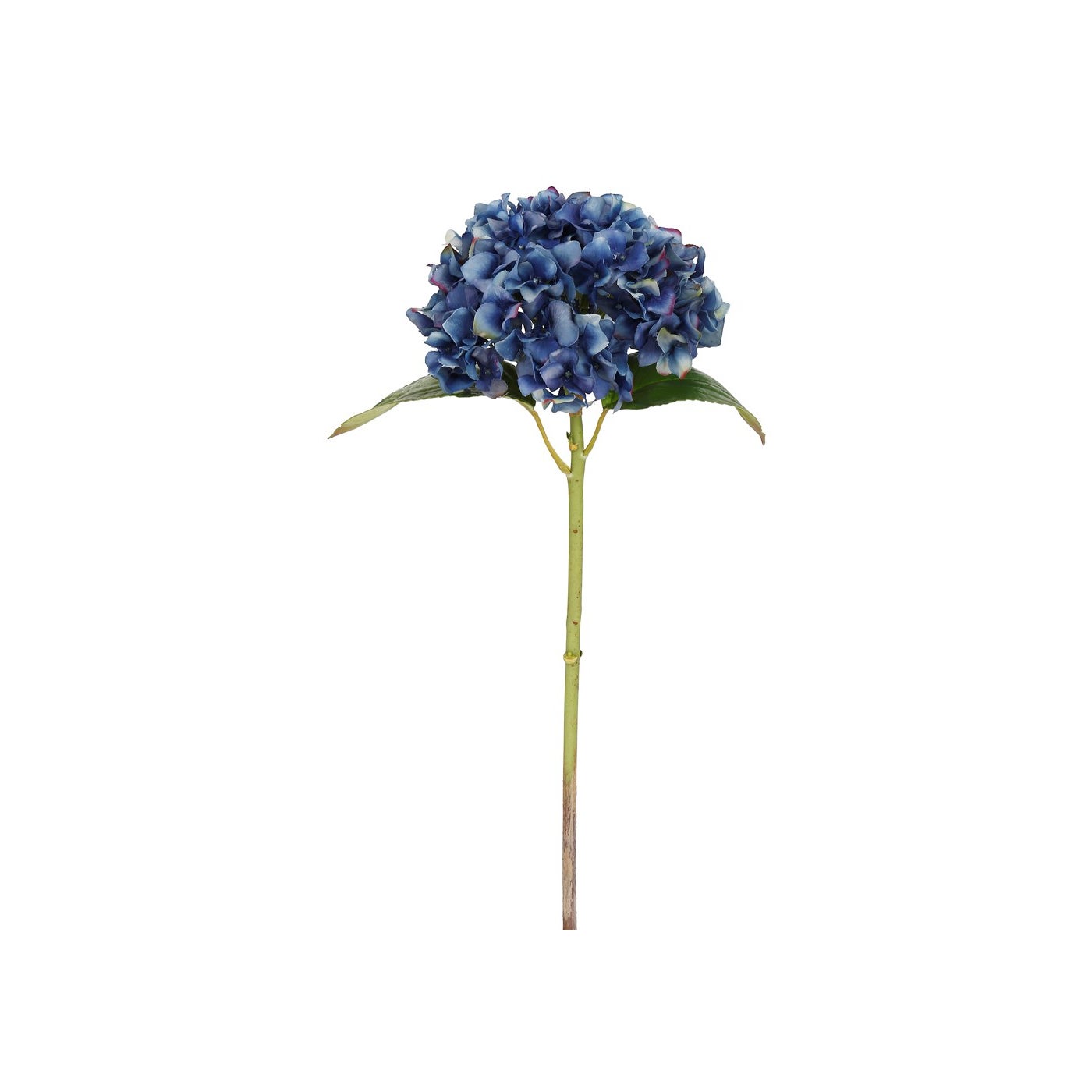 Winward 18" Hydrangea Short stem