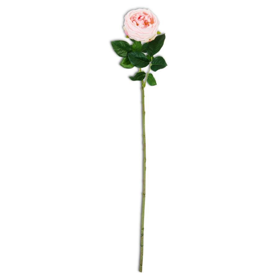 K & K 24" Pink Real Touch Austin Rose