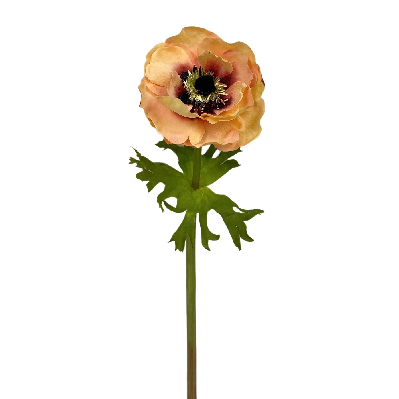 Winward 17.5" Anemone