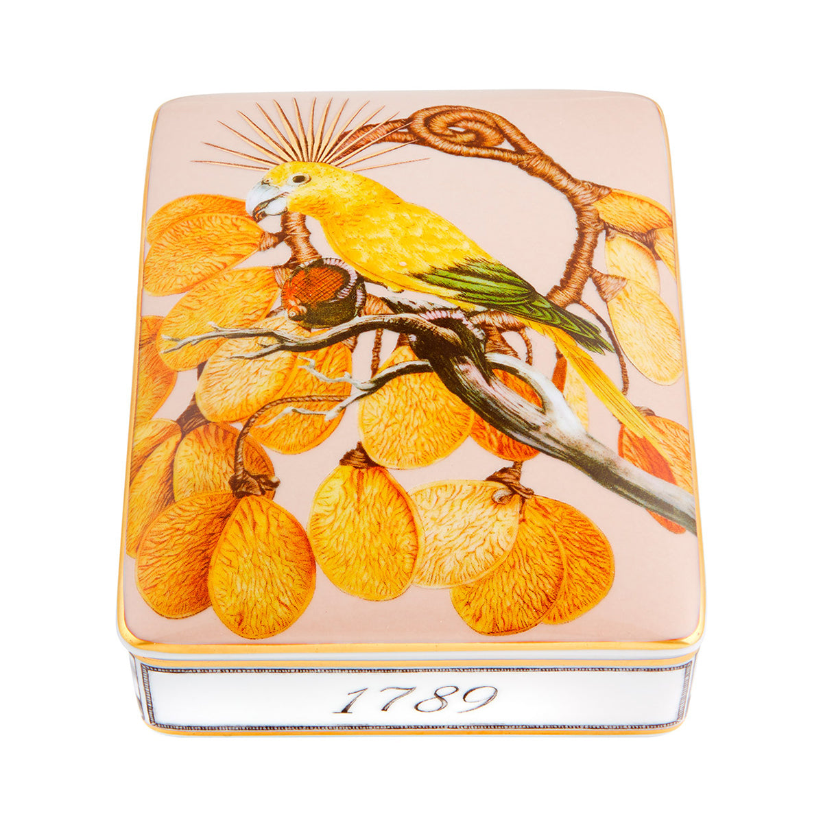 Vista Alegre Amazonia Card Box Lighter