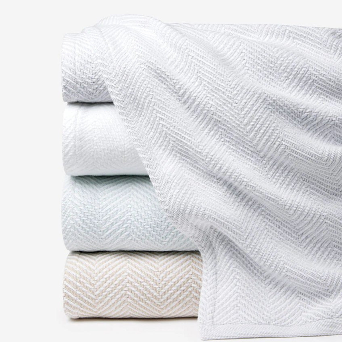 Sferra Camilo Blanket