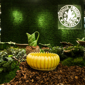 Bordallo Pinheiro Banana da Madeira Bananas Centerpiece