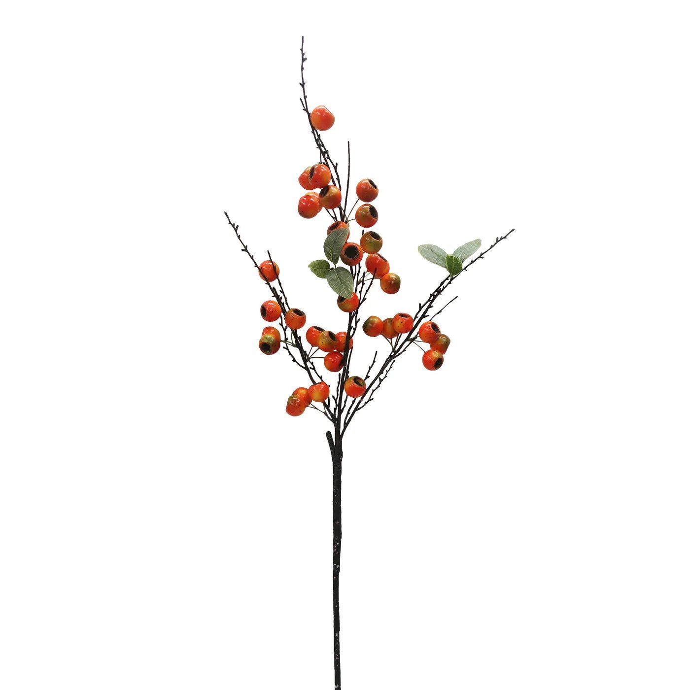 Winward Open Fruit Stem