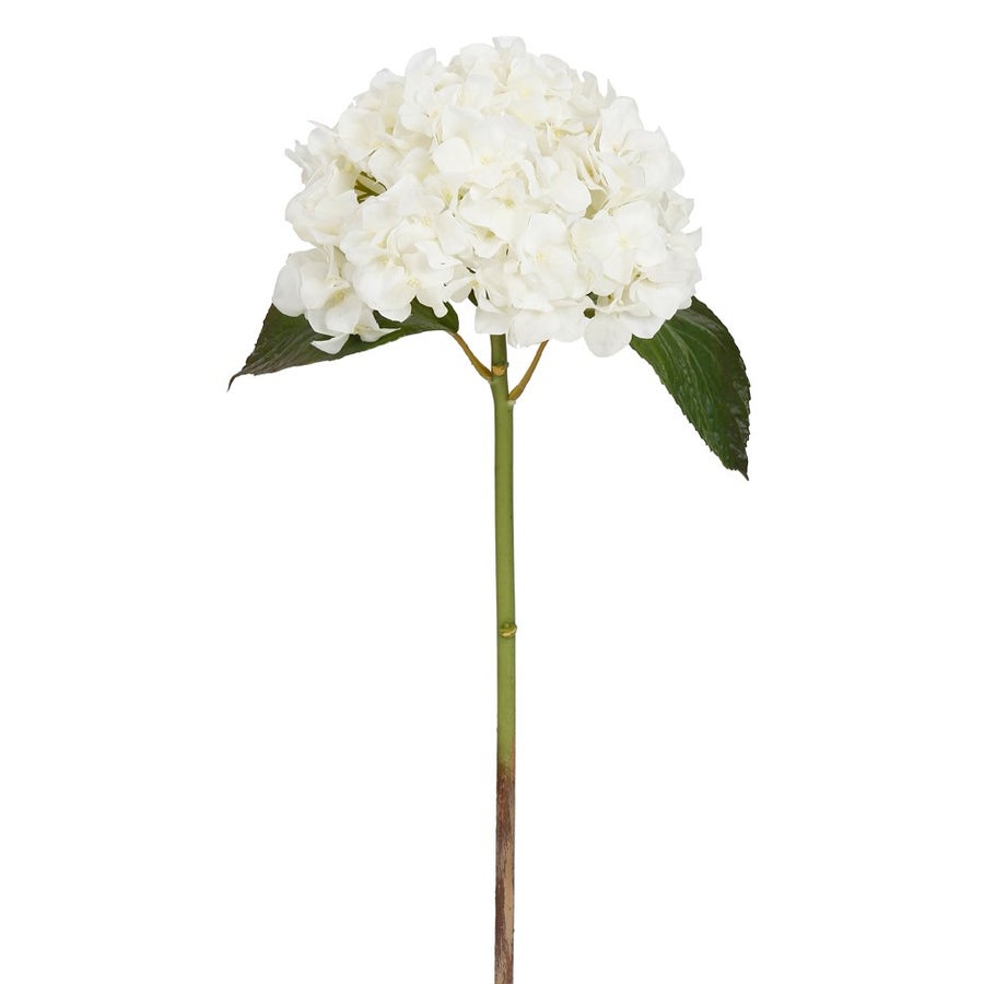 Winward 18" Hydrangea Short stem