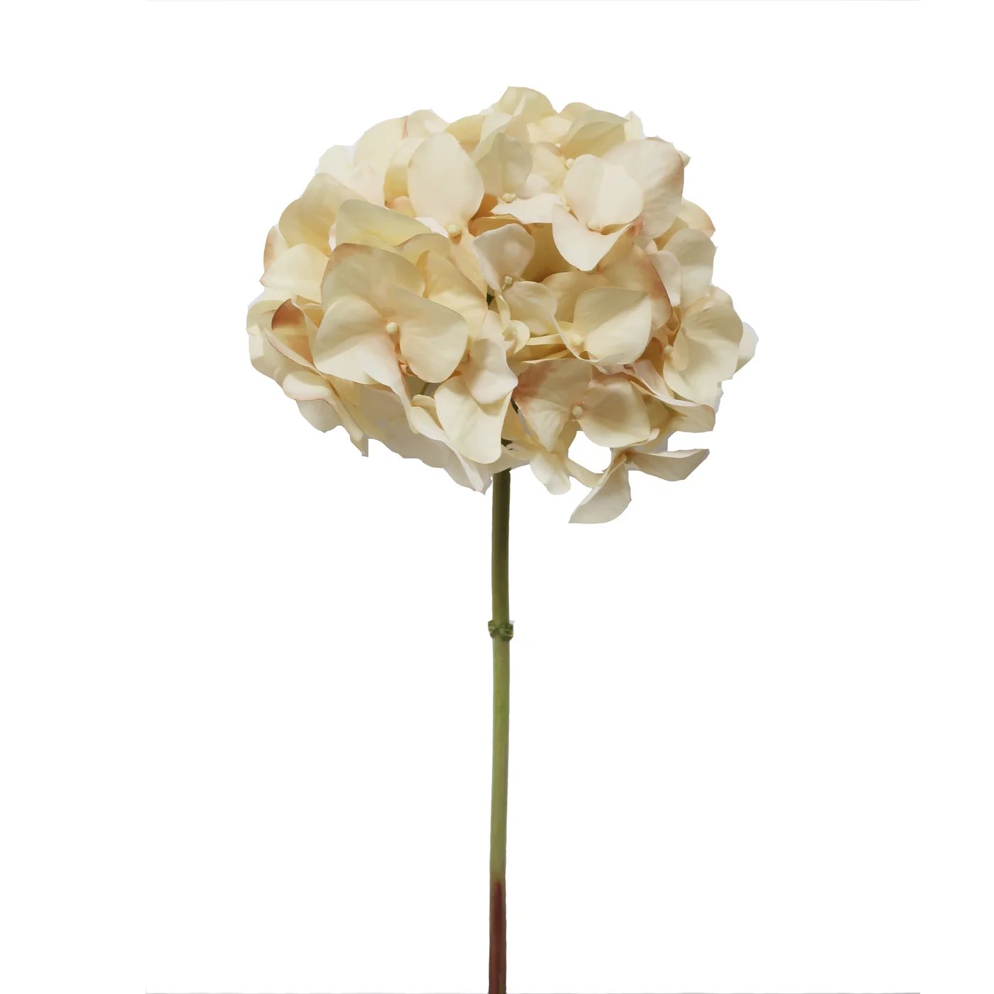 An image of Winward 20.5" Hydrangea