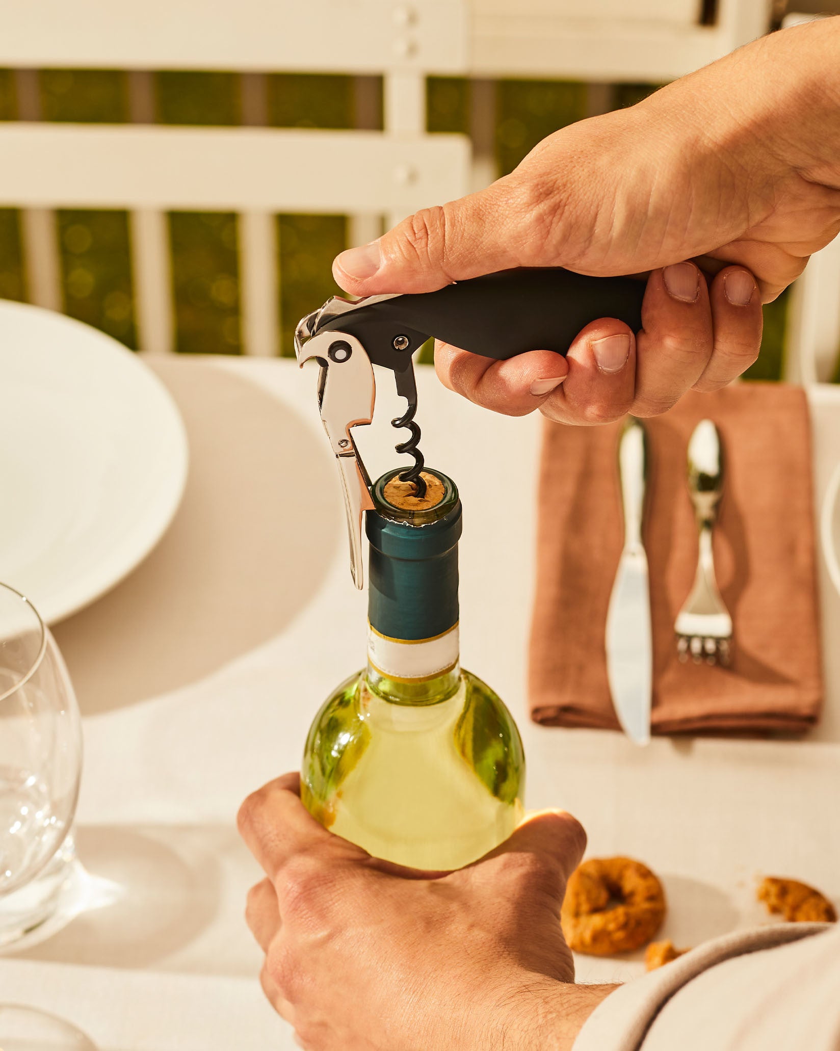 Alessi Alessandro Mendini Parrot Proust Corkscrew