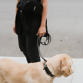 Max-Bone Black Jewel Jet Leash