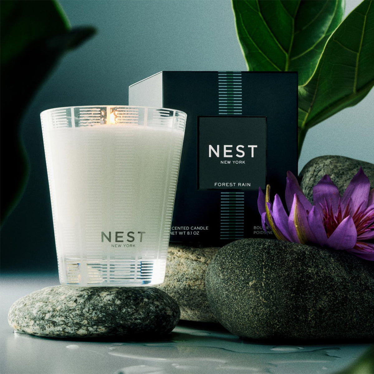 An image of Nest Fragrances Forest Rain Classic Candle 8.1 oz