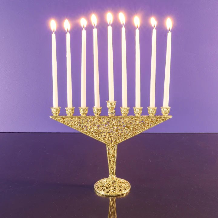 An image of Olivia Riegel Isadora Menorah