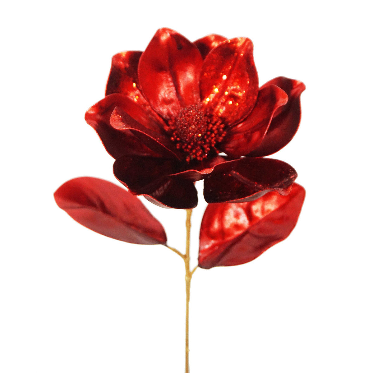 Winward Red Dynasty Magnolia - 21 inch