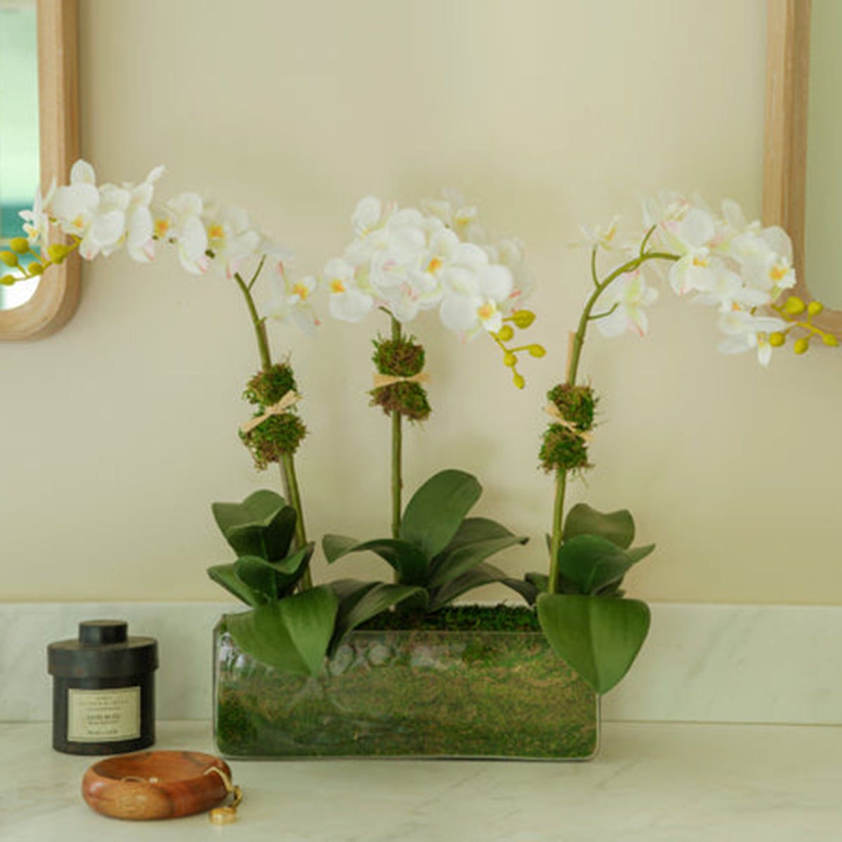 Diane James Phalaenopsis orchid, 3 stems, in glass rectangle