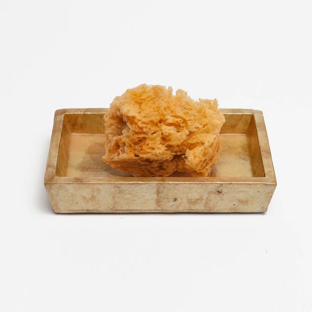 An image of Pigeon and Poodle Andria Rectangular Soap Dish