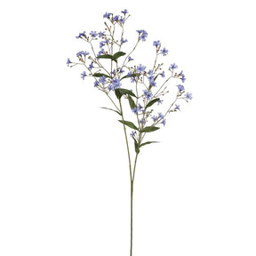 Winward Wild Wax Flower Spray