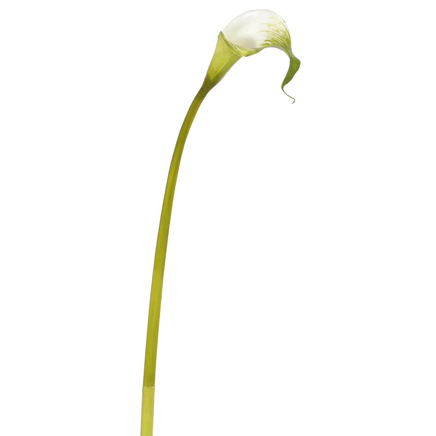 Winward 20.5" Calla Lily