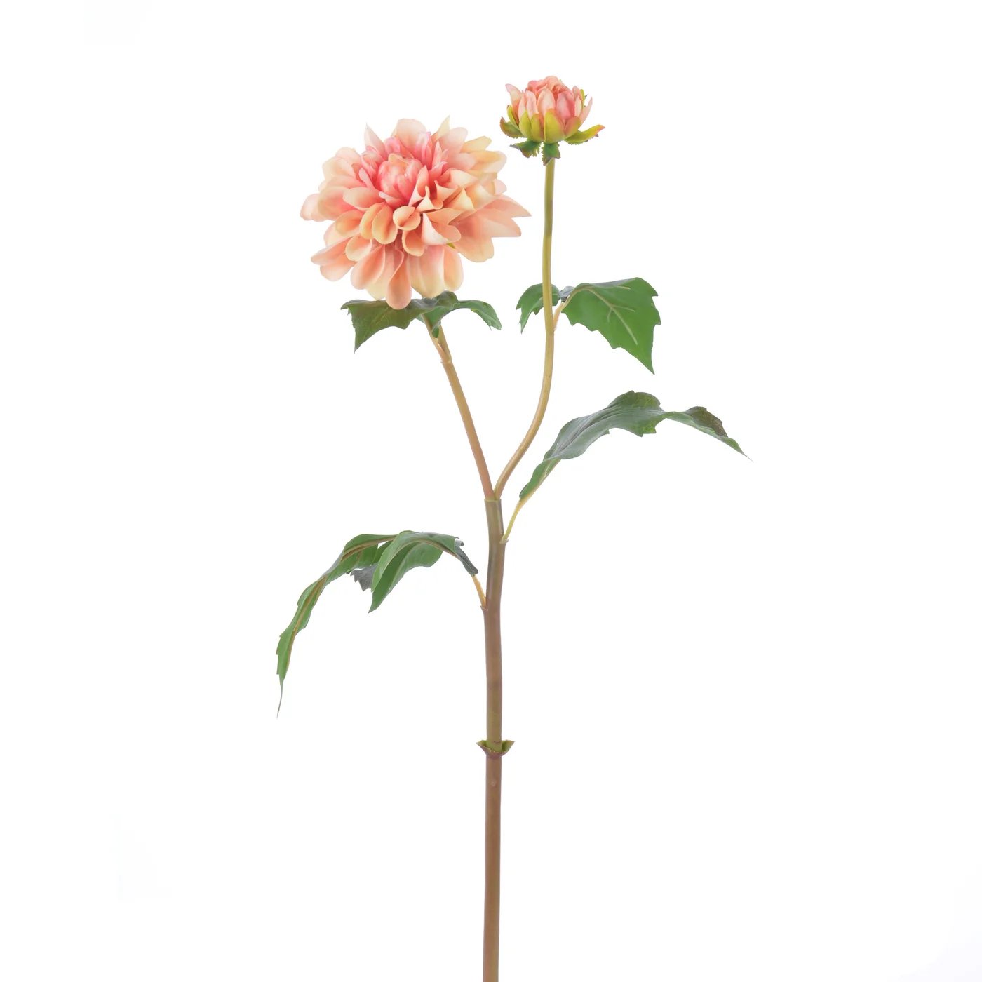 An image of Winward 19.5" Dahlia