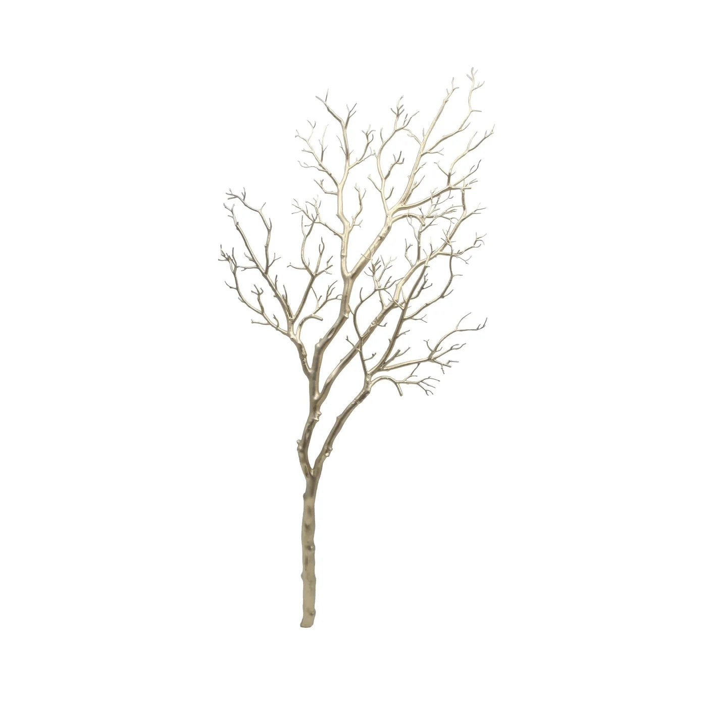 Winward Champagne Manzinita Branch - 51 inch